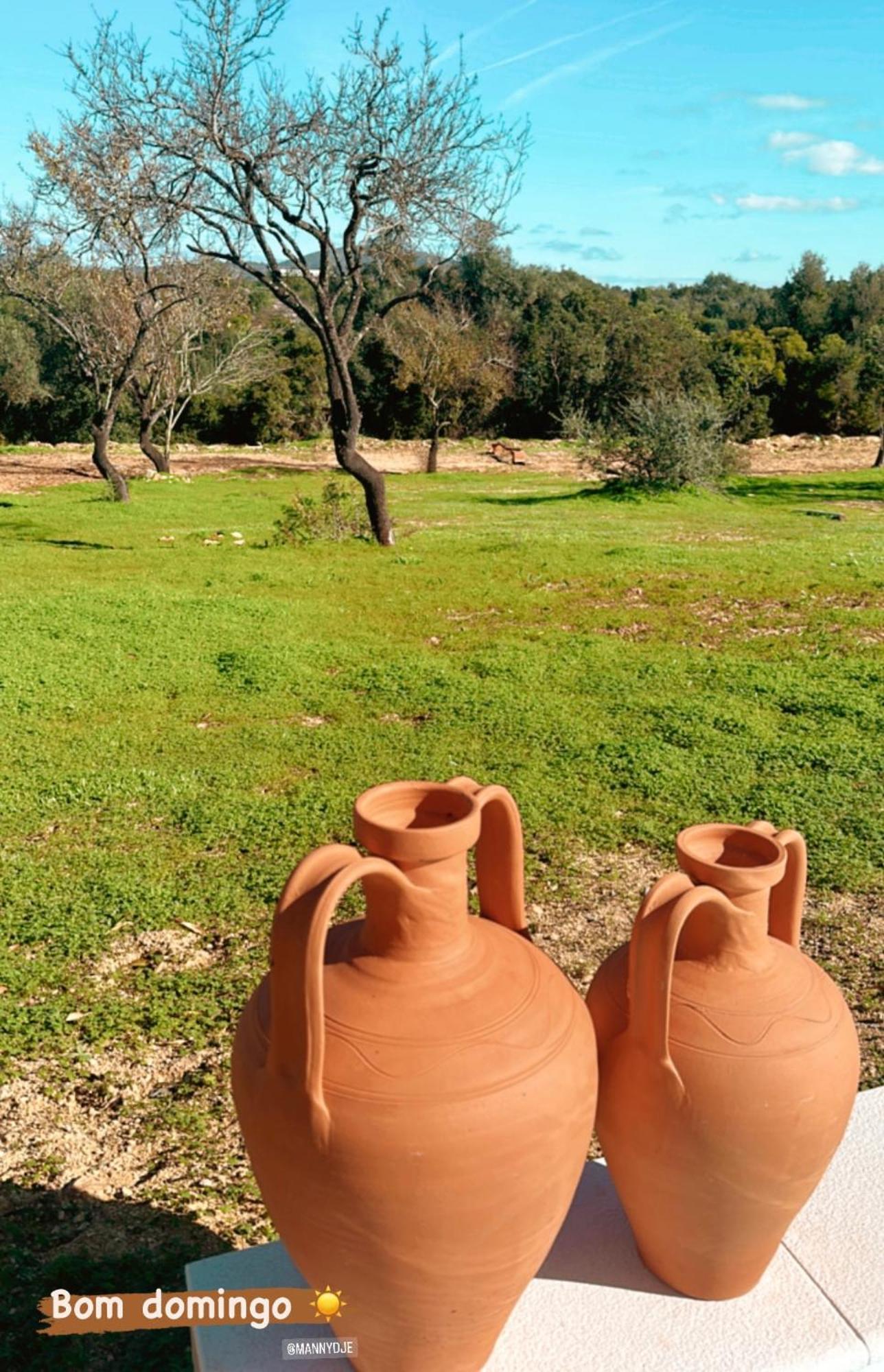 Villa La Quinta Da Liberdade - Ferme De Charme En Algarve Pechão Exterior foto