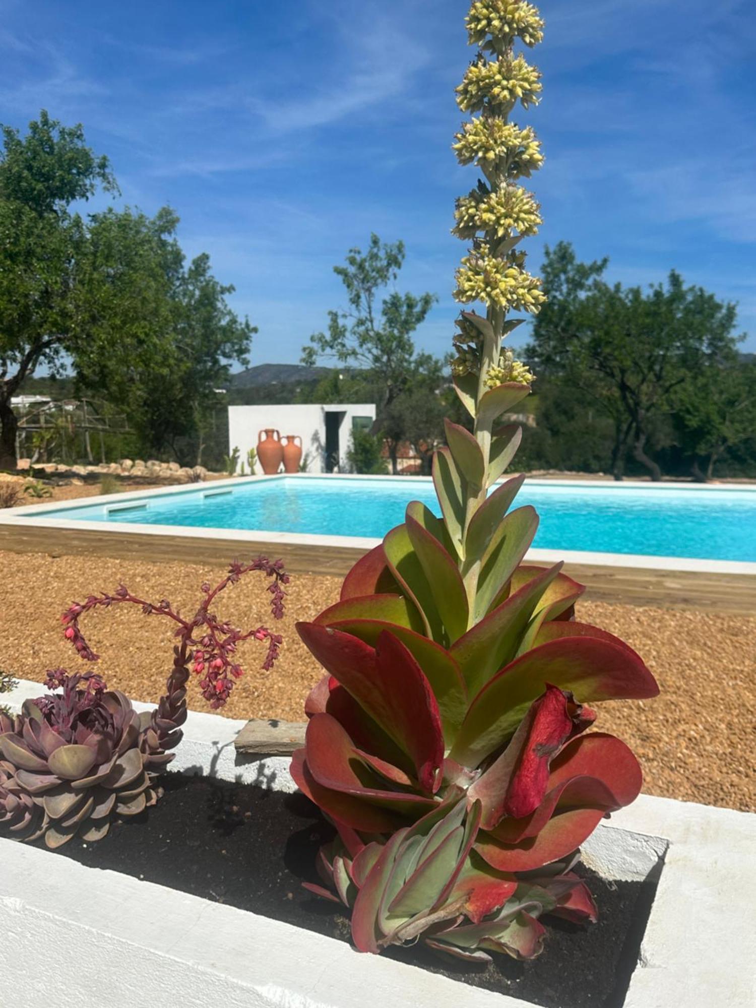 Villa La Quinta Da Liberdade - Ferme De Charme En Algarve Pechão Exterior foto